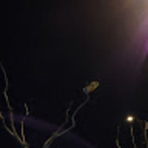 Meet your Posher, Marcoantonio